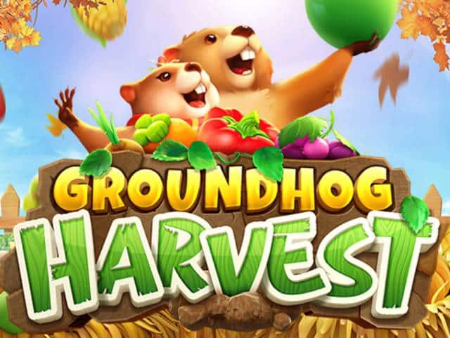 Groundhog Harvest